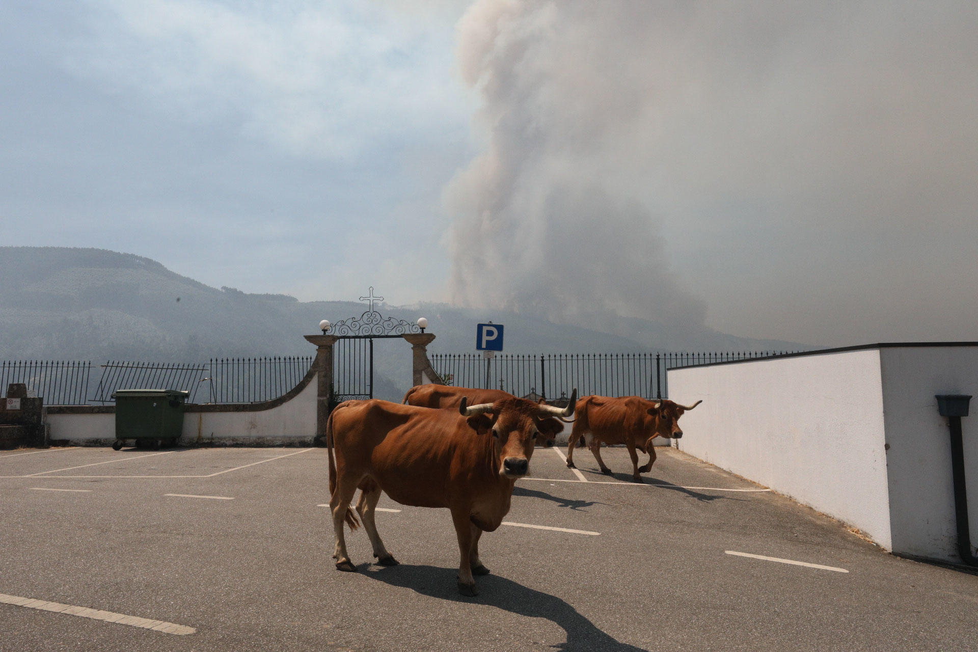 Imagen del pasado julio del incendio que afectó a los alrededores de la localidad portuguesa de Arouca. EFE/ Carlos Garcia