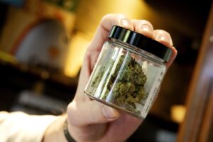 Fotografía de archivo que muesyta un recipiente que continene cannabis. EFE/ROBIN VAN LONKHUIJSEN