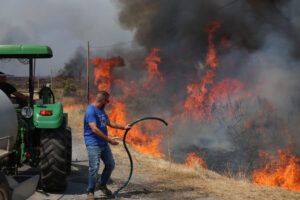 Una persona lucha contra las llamas del incendio de A Gudiña (Ourense), este jueves. La DGT ha informado de que la circulación en la autovía A-52 está cortada entre los kilómetros 124 y 129 por los incendios forestales, concretamente en la zona de A Gudiña. La autovía está cortada en ese tramo en ambos sentidos y también está afectada la N-525 en los puntos kilométricos 129 y 86. EFE/ Sxenick