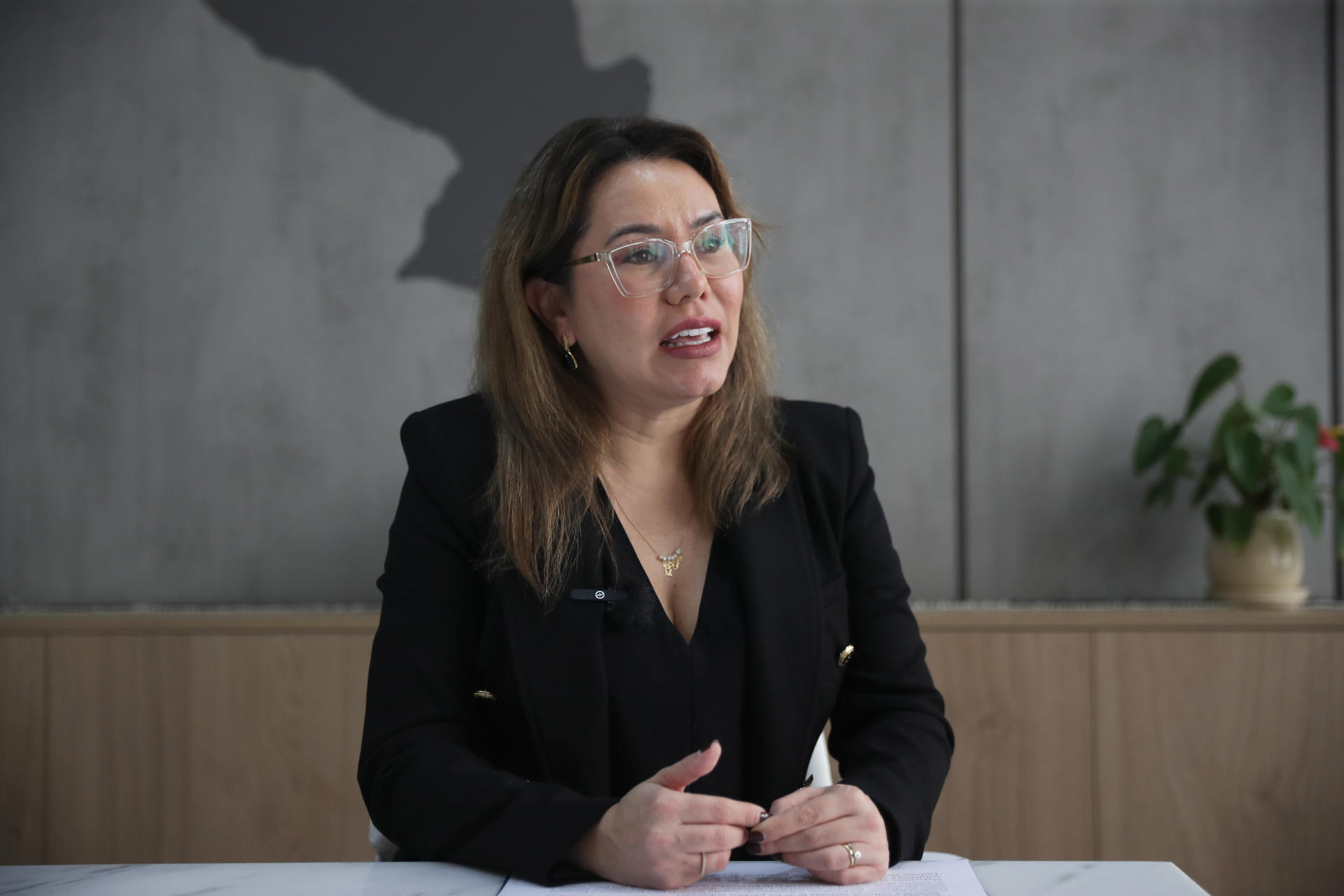 La ministra de la Secretaría Nacional de Turismo de Paraguay, Angie Duarte, habla en entrevista con EFE el 28 de julio de 2025, en Asunción (Paraguay). EFE/Juan Pablo Pino