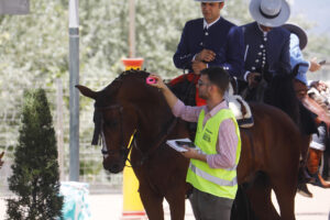 Imagen de archivo de un veterinario tomando la temperatura de uno de los caballos en el recinto ferial de El Arenal en Córdoba.EFE/Salas