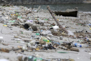 Fotografía de plásticos acumulados en la Cinta Costera del 05 de agosto de 2025 en la bahía de Ciudad de Panamá (Panamá). EFE/ Carlos Lemos