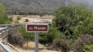 EFE/Miguel Andújar