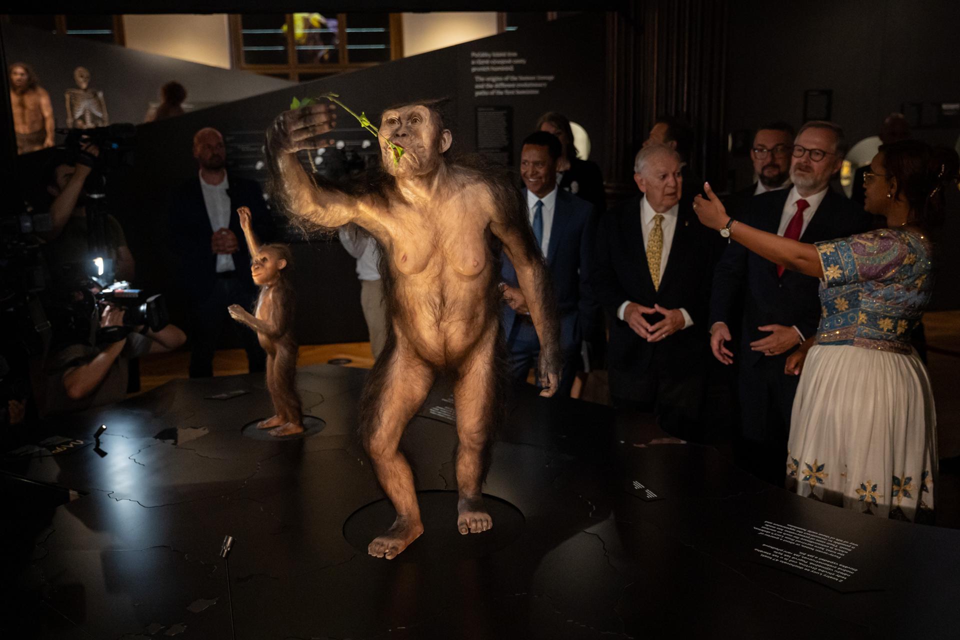 - El primer ministro checo Petr Fiala (2-R) y el paleoantropólogo Donald Johanson (3-R) inauguran la exposición titulada 'Personas y sus antepasados', que presenta fósiles originales de 'Lucy' y 'Selam', en el Museo Nacional de Praga, República Checa, 25 de agosto de 2025. El Museo Nacional Checo en Praga acoge la primera exposición europea de 'Lucy' y 'Selam', dos de los fósiles más icónicos de Australopithecus afarensis. Lucy, un esqueleto parcial de una mujer adulta que vivió hace aproximadamente 3.2 millones de años, fue descubierto en 1974 en Hadar, Etiopía, por un equipo dirigido por el paleoantropólogo Donald Johanson. Selam, el esqueleto notablemente completo de una niña de tres años que vivió hace alrededor de 3.3 millones de años, fue desenterrado en 2000 en Dikika, Etiopía. Lucy había sido exhibida fuera de Etiopía solo en los Estados Unidos, mientras que Selam nunca había sido mostrada en el extranjero. Ninguno de los fósiles está permanentemente exhibido en el Museo Nacional de Etiopía en Addis Ababa. La exposición se lleva a cabo del 25 de agosto al 23 de octubre de 2025. (República Checa, Etiopía, Estados Unidos, Praga) EFE/EPA/MARTIN DIVISEK