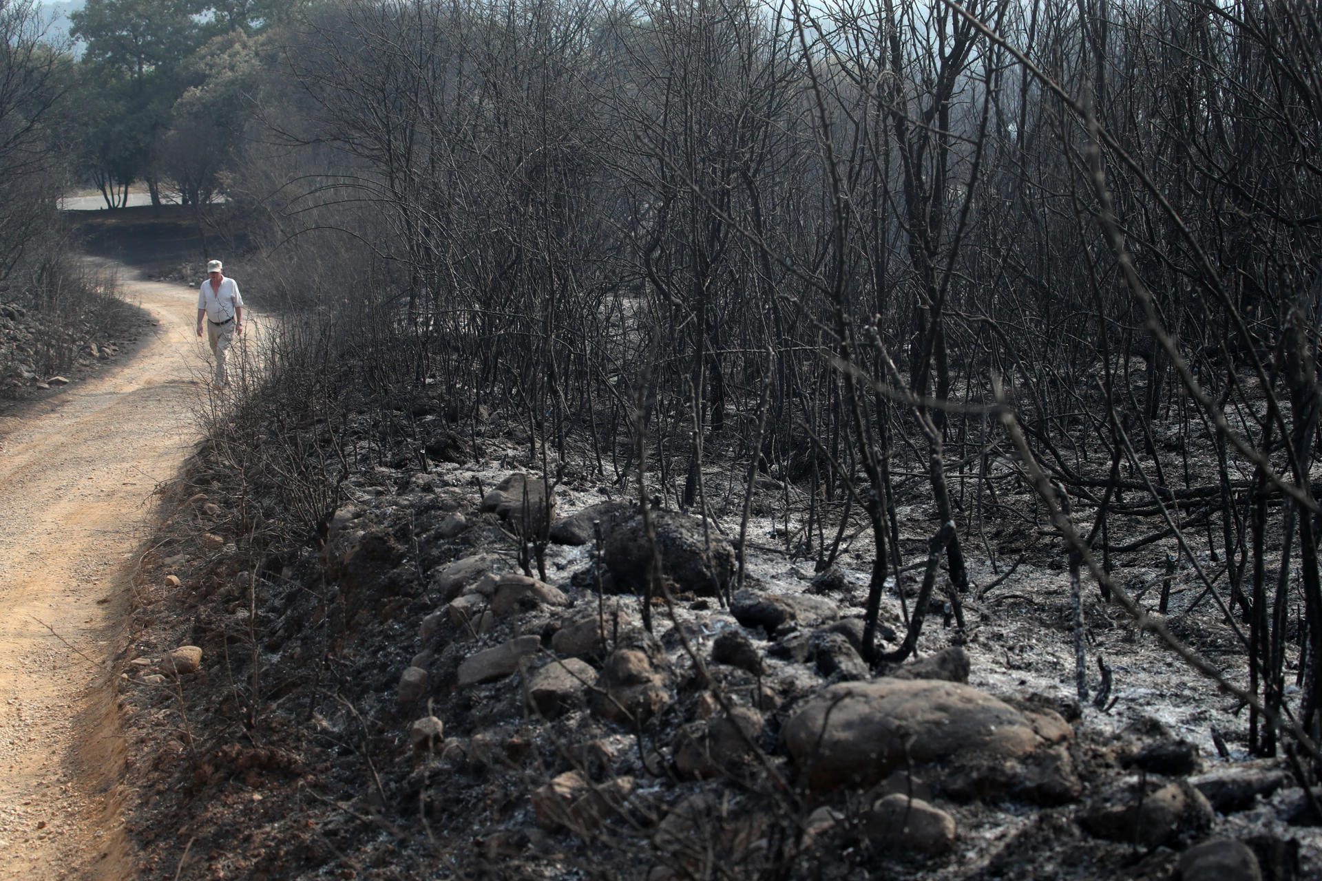 El fuego declarado en la localidad leonesa de Yeres y que ha afectado al espacio natural de Las Médulas, catalogado por la Unesco como Patrimonio de la Humanidad y corazón turístico de la comarca leonesa de El Bierzo, ha dejado una sensación entre los vecinos de vivir un infierno del que tardarán años en salir. EFE/Ana F. Barredo
