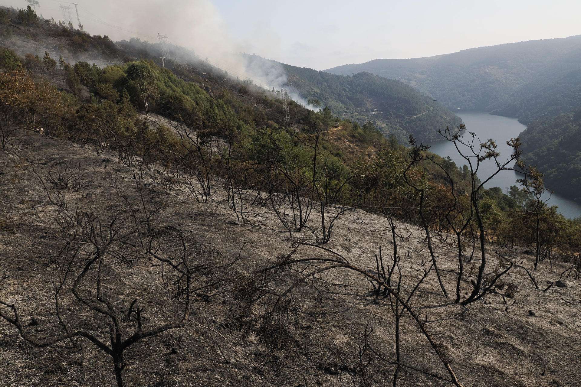 Área boscosa calcinada por el incendio de la parroquia de A Cova (Lugo) que afecta a unas 50 hectáreas y está prácticamente bajo control. EFE/ Eliseo Trigo
