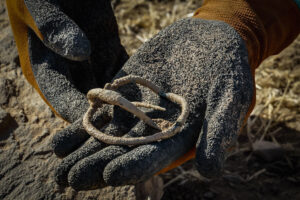 Restos encontrados en las excavaciones en el yacimiento tartesio de Tejada la Vieja, en Escacena (Huelva), donde han aparecido cerámicas además de la hebilla de un cinturón. En espera de los últimos estudios que lo confirmen, ha sido localizado el santuario fundacional de esta ciudad de casi tres milenios de antigüedad, que se extendió por once hectáreas y contó con unos 3.000 habitantes. Las excavaciones efectuadas este mes de julio en el yacimiento arqueológico tartésico de Tejada la Vieja, en Escacena (Huelva), han localizado lo que los arqueólogos interpretan como el santuario fundacional de esta ciudad de casi tres milenios de antigüedad, once hectáreas de extensión y que tuvo un recinto amurallado de 1.650 metros.-EFE/ José Manuel Vidal