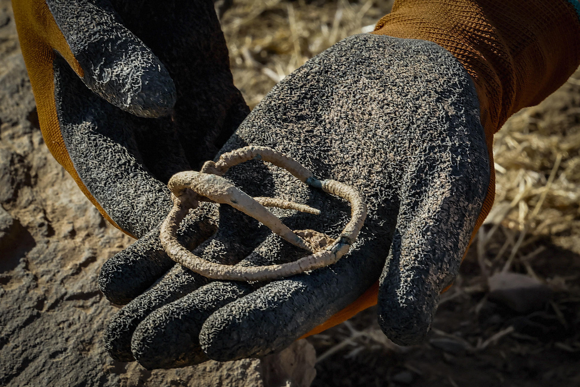 Restos encontrados en las excavaciones en el yacimiento tartesio de Tejada la Vieja, en Escacena (Huelva), donde han aparecido cerámicas además de la hebilla de un cinturón. En espera de los últimos estudios que lo confirmen, ha sido localizado el santuario fundacional de esta ciudad de casi tres milenios de antigüedad, que se extendió por once hectáreas y contó con unos 3.000 habitantes. Las excavaciones efectuadas este mes de julio en el yacimiento arqueológico tartésico de Tejada la Vieja, en Escacena (Huelva), han localizado lo que los arqueólogos interpretan como el santuario fundacional de esta ciudad de casi tres milenios de antigüedad, once hectáreas de extensión y que tuvo un recinto amurallado de 1.650 metros.-EFE/ José Manuel Vidal