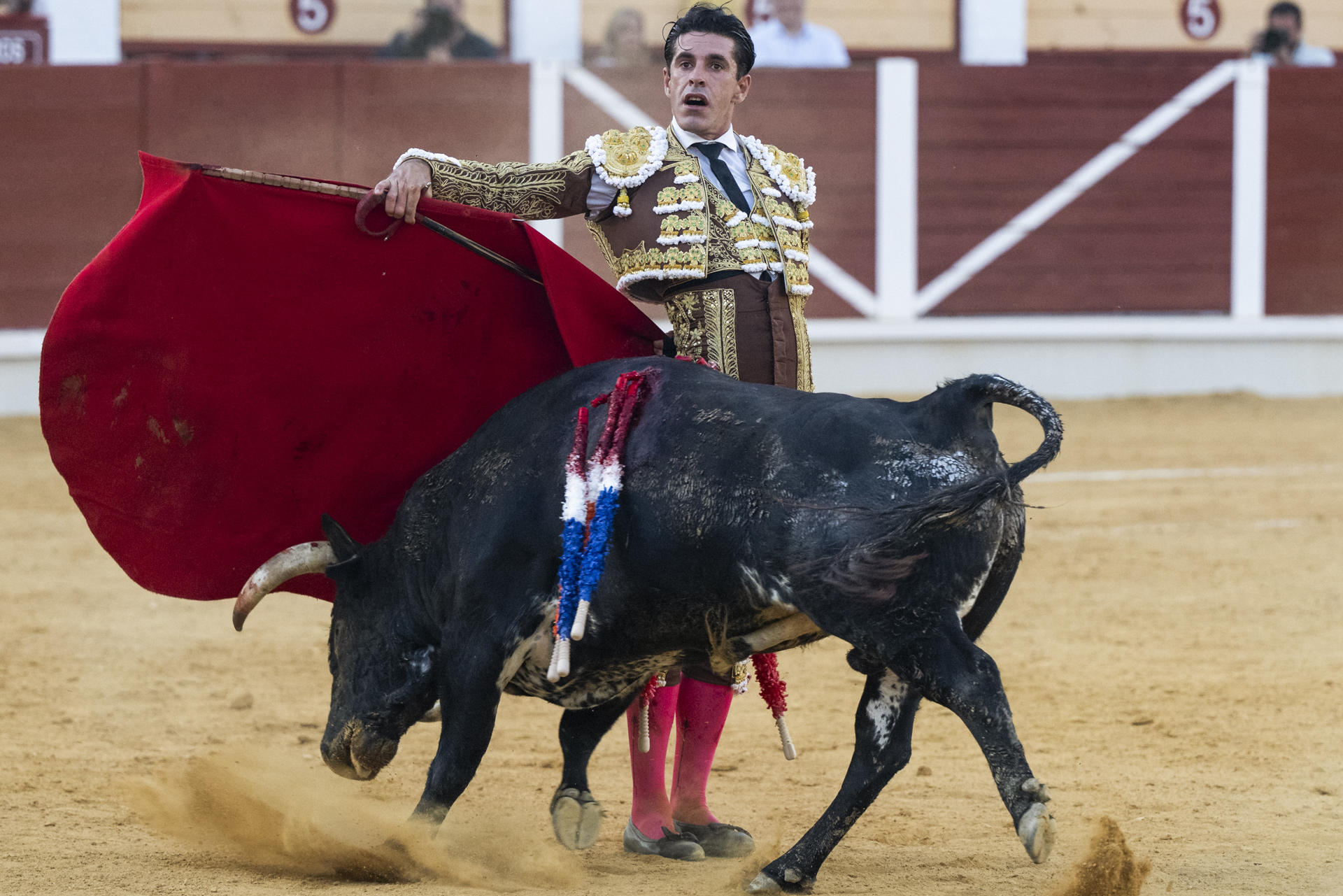 El diestro Alejandro Talavante da un pase con la muleta a uno de los de su lote, durante la corrida de la Feria de San Bartolomé celebrada este lunes en la plaza de toros de Almagro, en Ciudad Real. EFE/Jesús Monroy
