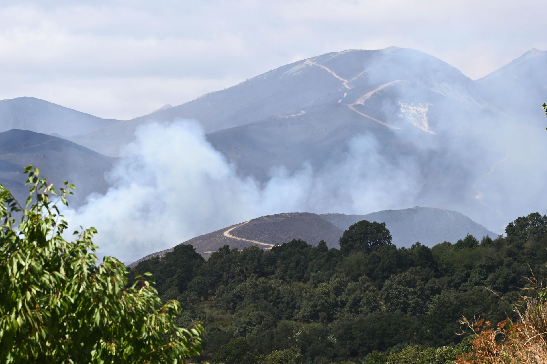 El incendio que quema Fasgar (León) desde el pasado 8 de agosto -21 días-, con la incapacidad de los medios de extinción de atacar directamente en muchas ocasiones las llamas, posee unas condiciones "nunca vistas", según relatan los medios que tratan de sofocarlo, ha destacado la Junta de Castilla y León. EFE/ J. Casares