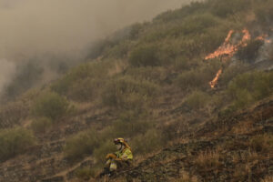 Una persona que lucha contra el fuego muestra su desesperación ante el incendio que amenaza la vertiente leonesa del Parque Nacional de Picos de Europa, iniciado en Barniedo de la Reina e impulsado por el viento y las altas temperaturas. EFE/J.Casares