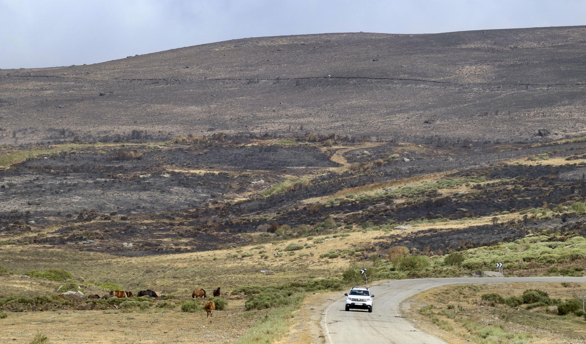 Foto de archivo (29/08/2025).- El incendio forestal de Porto (Zamora) baja a nivel 1 de gravedad potencial ante una evolución favorable. Lleva activo 16 días, ha pasado a Ourense y León y amenazó el Parque Natural del Lago de Sanabria.EFE/Mariam A. Montesinos
