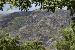 El incendio forestal de Porto (Zamora) baja a nivel 1 de gravedad potencial ante una evolución favorable. Lleva activo 16 días, ha pasado a Ourense y León y amenazó el Parque Natural del Lago de Sanabria.EFE/Mariam A. Montesinos
