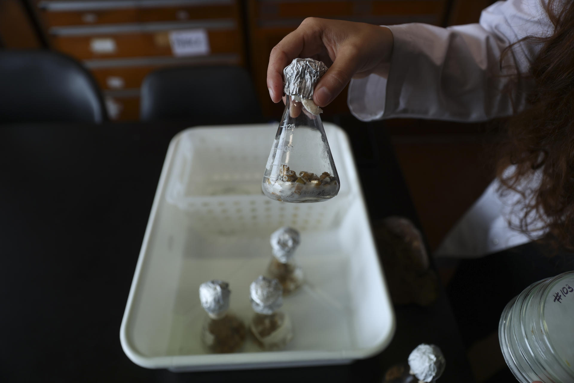 En la imagen de archivo, una investigadora trabaja con unas muestras. EFE/ Juan Ignacio Roncoroni