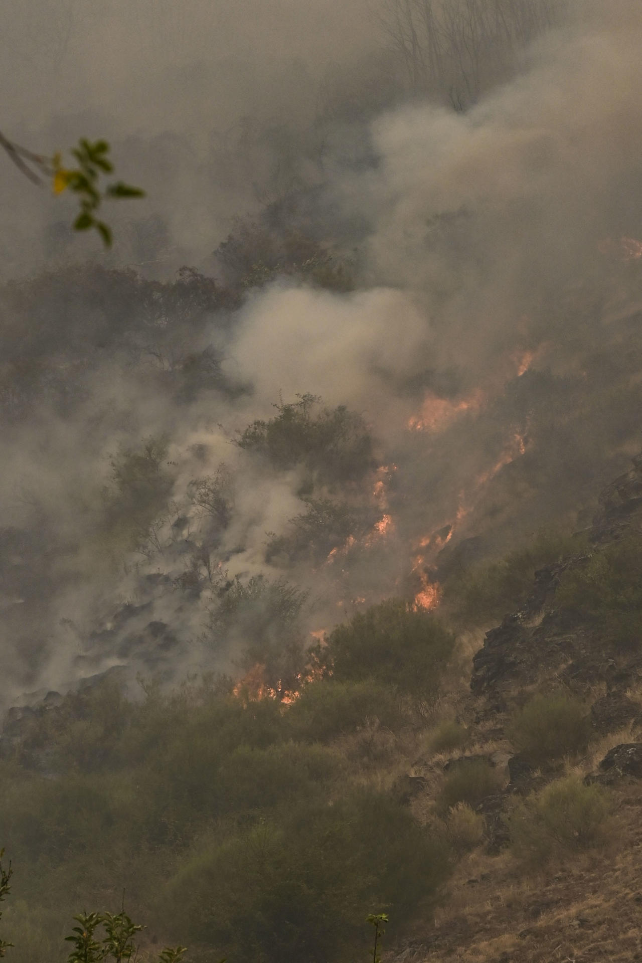 El incendio que amenaza la vertiente leonesa del Parque Nacional de Picos de Europa, iniciado en Barniedo de la Reina e impulsado por el viento y las altas temperaturas, mantiene en vilo a los habitantes del Valle de Valdeón y de la Tierra de la Reina, zonas de montaña donde la población se concentra en pequeños pueblos de menos de 200 habitantes.EFE/J.Casares