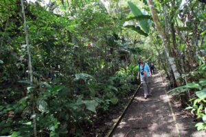 Fotografía de archivo de un grupo de caminantes durante un recorrido ecoturístico en la ribera este del Canal, en Ciudad de Panamá (Panamá). EFE/Alejandro Bolívar