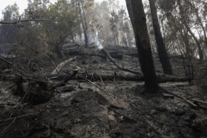 Un hidroavión descarga agua mientras efectivos de la UME realizan trabajos de liquidación de reproducción en la zona de Galende, en el incendio forestal de Porto (Zamora). EFE/Ministerio de Defensa SOLO USO EDITORIAL/SOLO DISPONIBLE PARA ILUSTRAR LA NOTICIA QUE ACOMPAÑA (CRÉDITO OBLIGATORIO)