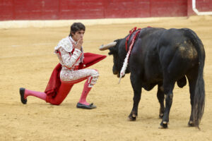 El diestro Sebastián Castella en su faena en la feria taurina en honor a San Emeterio y San Celedonio este domingo en la localidad riojana de Calahorra. EFE/Raquel Manzanares