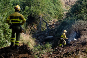 Unos miembros de una cuadrilla trabajan en uno de los puntos calientes del incendio de Las Navas del Marqués (Ávila), este domingo. El incendio que el viernes se declaró en el municipio abulense de San Bartolomé de Pinares y se extendió a Las Navas del Marqués se encuentra en una situación "favorable", después de una noche en la que han seguido produciéndose "pequeñas reactivaciones" en el interior del perímetro, que han sido controladas. EFE/ Raúl Sanchidrián