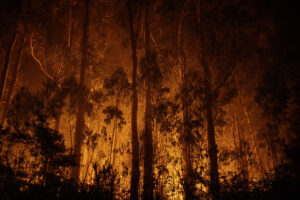 Vista del incendio forestal que permanece activo desde este miércoles en As Neves (Pontevedra). EFE/ Brais Lorenzo