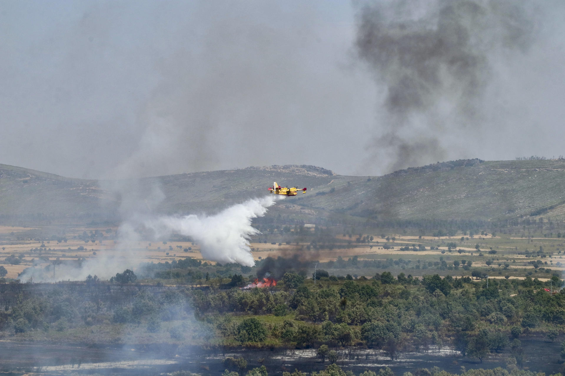 Un hidroavión descarga el pasado miércoles sobre las llamas del incendio forestal de Abejera (Zamora). EFE/Mariam A. Montesinos