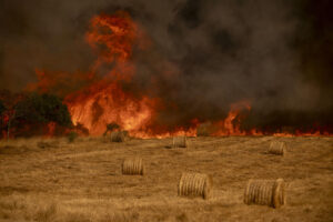 Vista del nuevo incendio declarado este miércoles en A Gudiña (Ourense). EFE/Brais Lorenzo