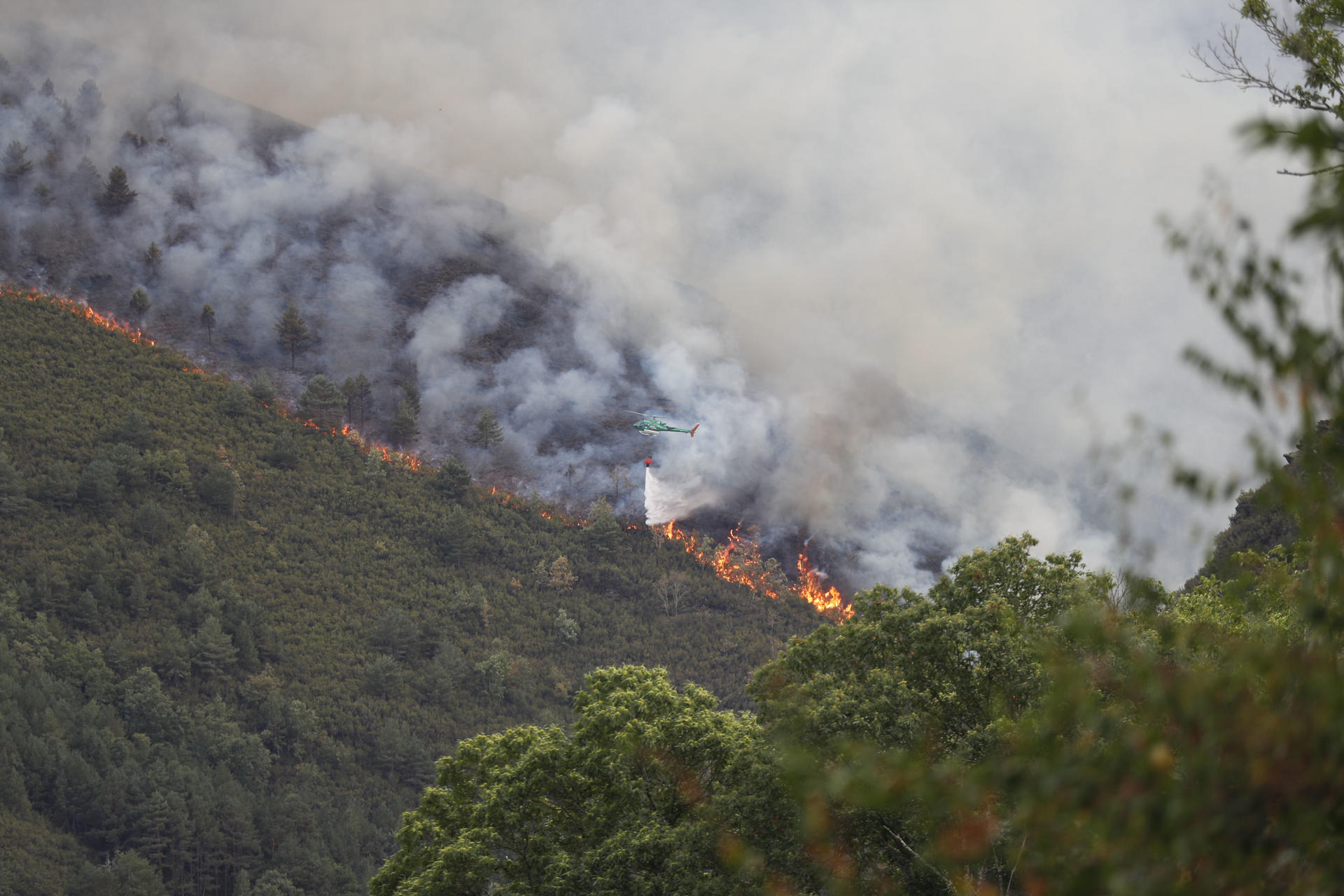 Vista de una zona afectada por el fuego en Courel (Lugo). EFE/ Eliseo Trigo

