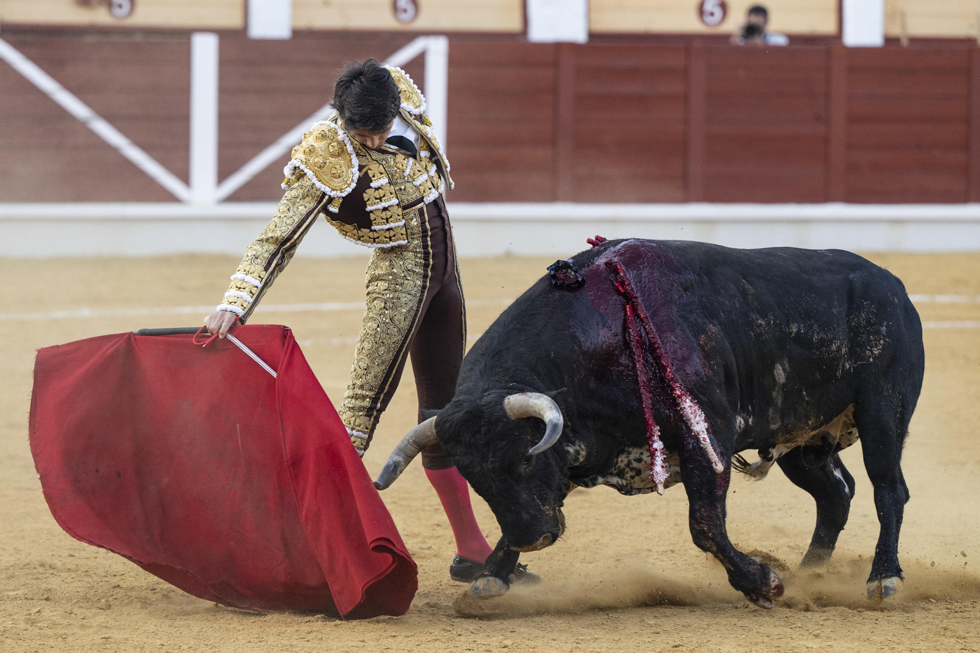 El diestro francés Sebastián Castella da un pase con la muleta a uno de los de su lote, durante la corrida de la Feria de San Bartolomé celebrada este lunes en la plaza de toros de Almagro, en Ciudad Real. EFE/Jesús Monroy
