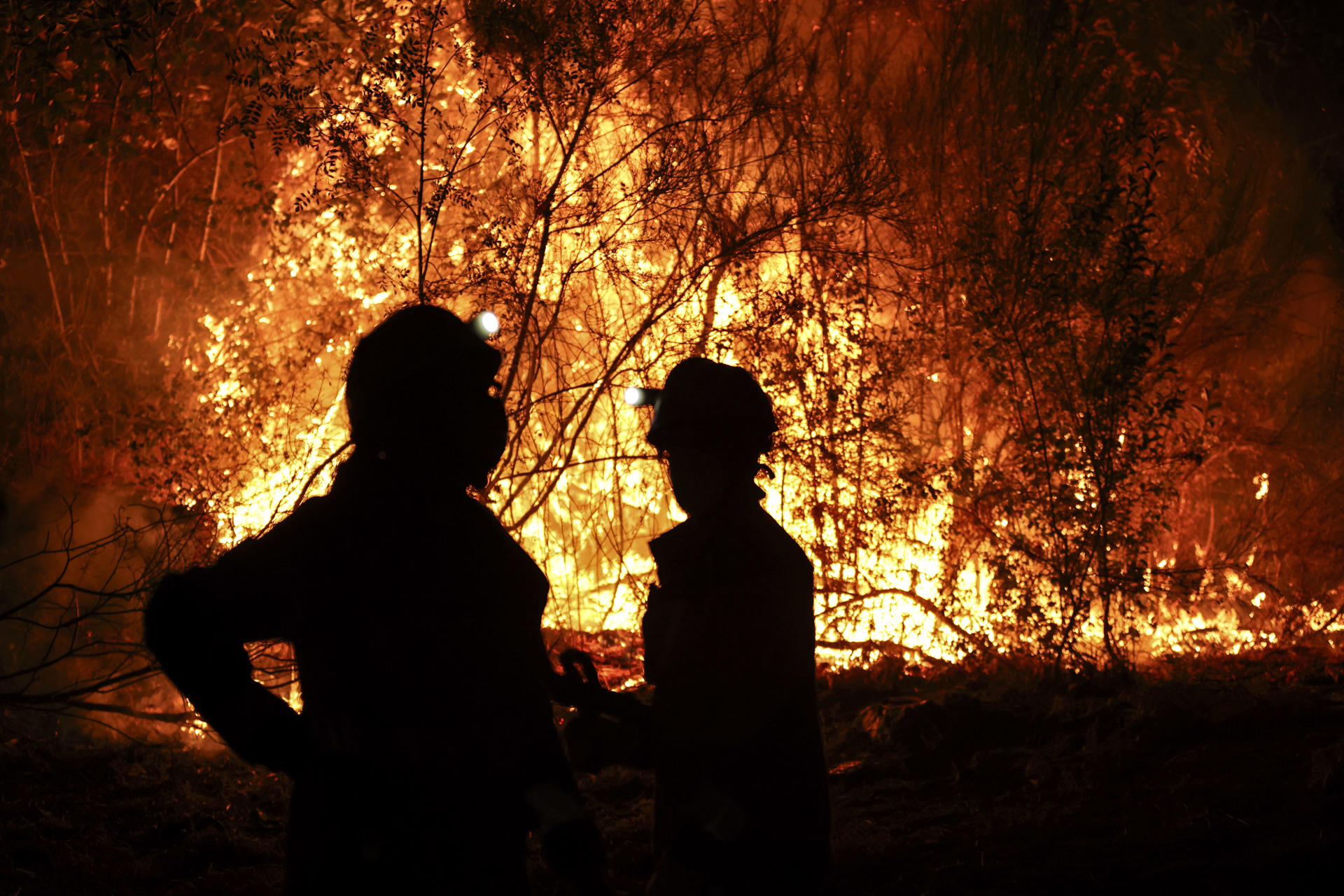 Bomberos forestales antes las grandes llamas del incendio en Aguasmestas, una parroquia del municipio de Quiroga, en la provincia de Lugo. EFE/ Sxenick
