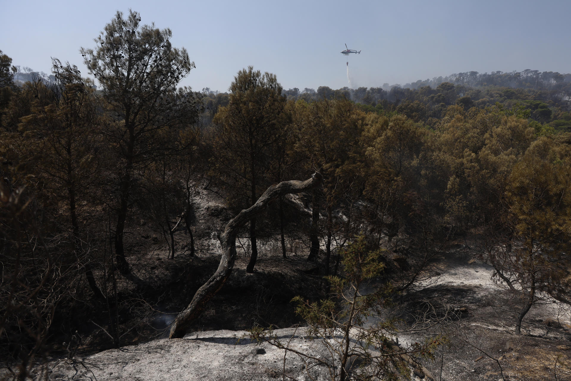 Área afectada por el incendio que desde el sábado a la noche se mantiene activo en un paraje forestal de la localidad navarra de Carcastillo, que sigue sin estar perimetrado, una tarea que se ve dificultada por las extremas temperaturas, bajo nivel de humedad y riesgo de tormenta seca. EFE/ Jesús Diges
