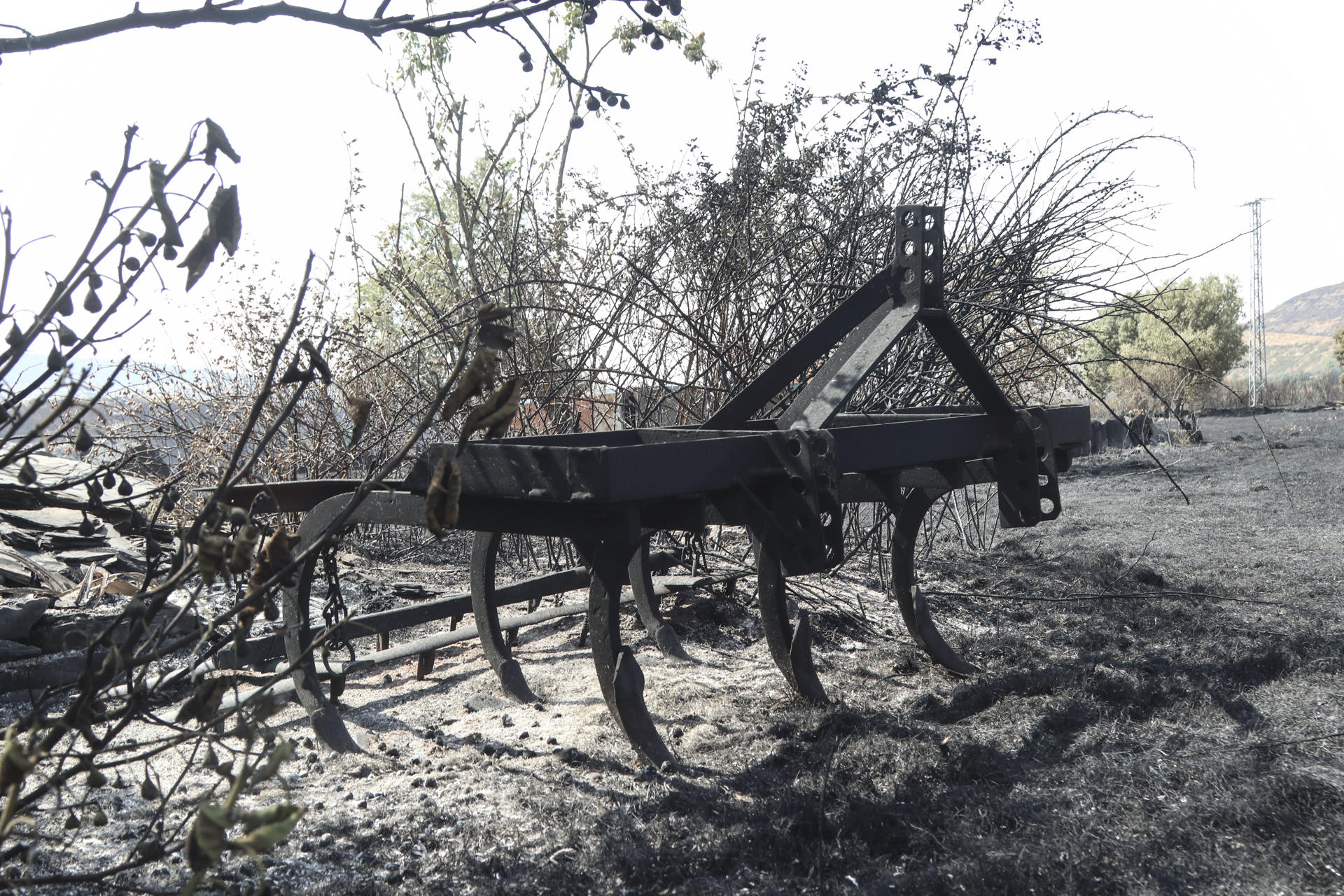 Maquinaria agrícola arrasada por el incendio forestal de Abejera (Zamora) ayer miércoles. EFE/Mariam A. Montesinos