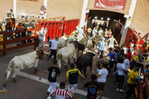Los mozos corren ante los toros durante el séptimo encierro de San Sebastián de los Reyes, este sábado. EFE/David Fernández