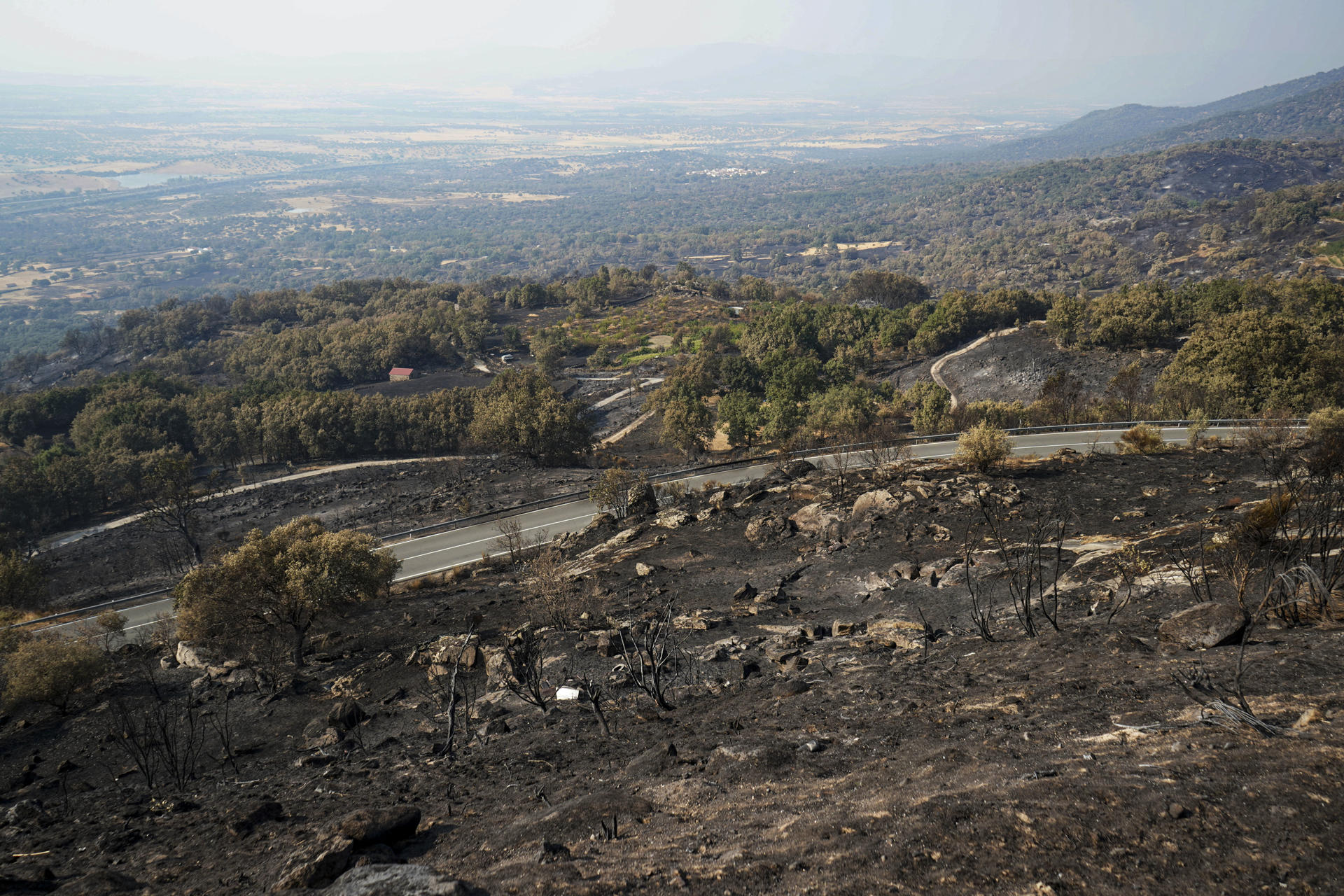 Áreas calcinadas en la localidad cacereña de Cabezabellosa por el incendio de Jarilla (Cáceres). EFE/EDUARDO PALOMO
