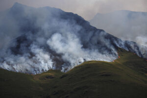 Vista de una zona afectada por el fuego en Courel (Lugo). EFE/Eliseo Trigo