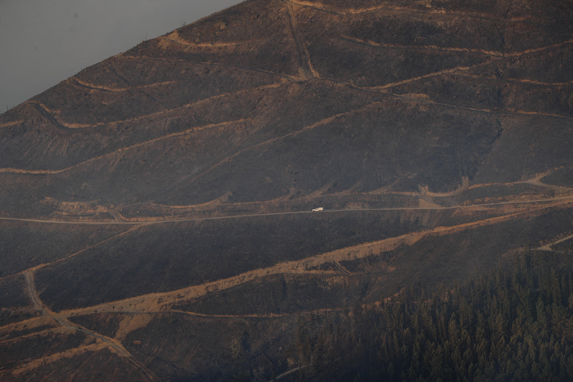 Terreno calcinado por el incendio en Pobra de Brollón-Quiroga en Galicia. EFE/ Eliseo Trigo