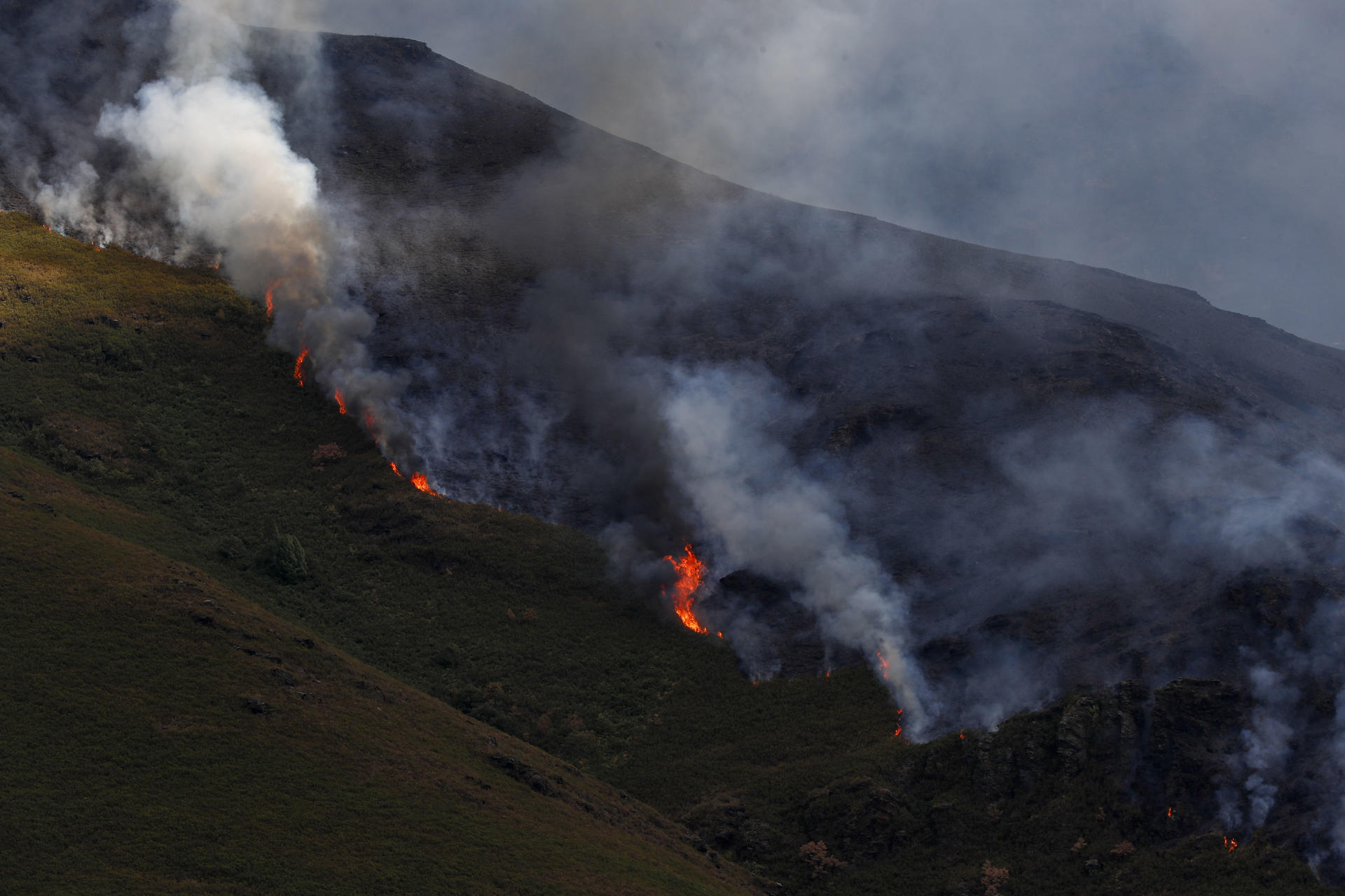 Vista de una zona afectada por el fuego en Courel (Lugo).EFE/ Eliseo Trigo
