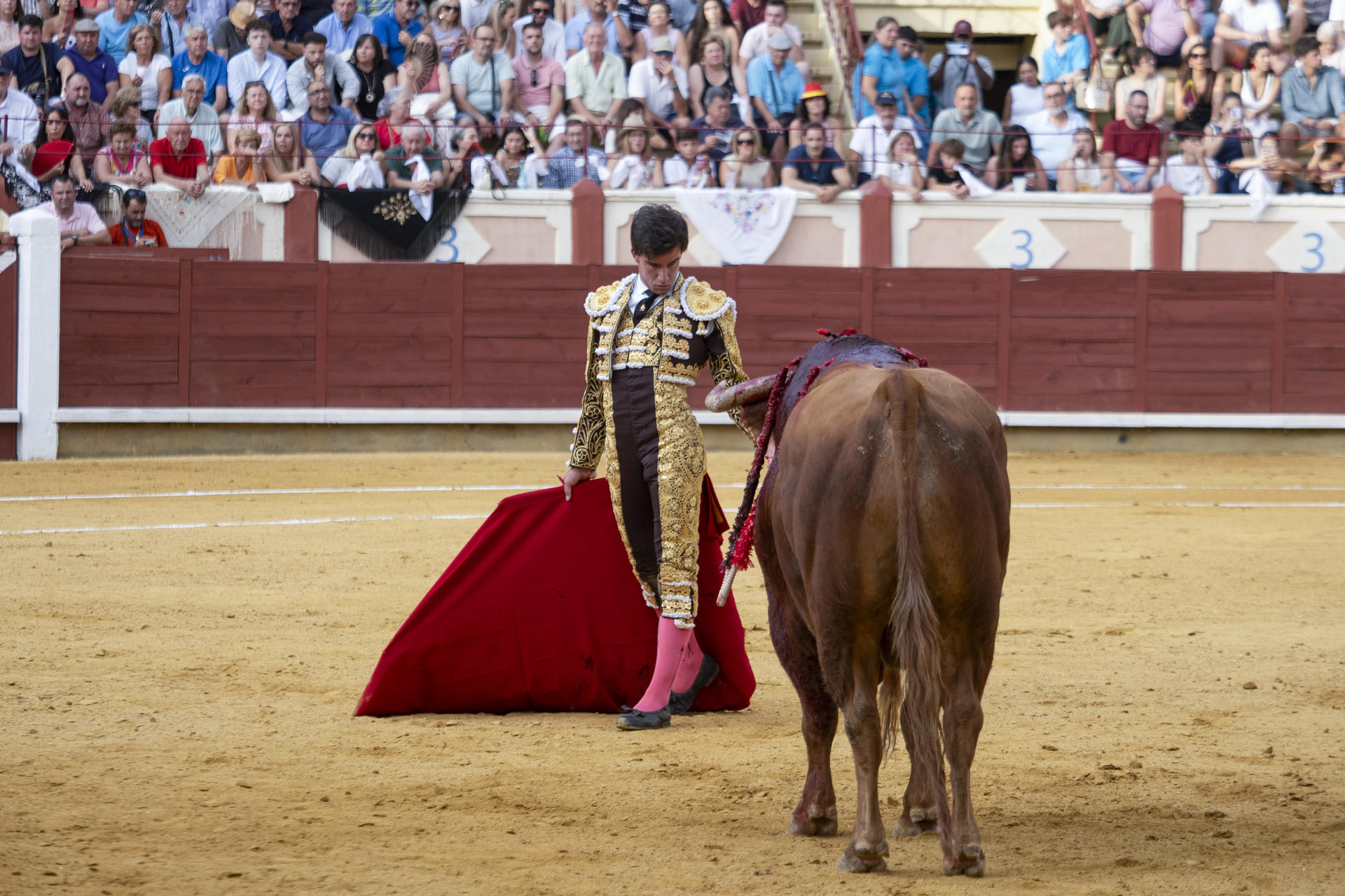 El diestro Alejandro Peñaranda se planta ante uno de los de su lote, durante la corrida de la Feria de San Julián celebrada este lunes en la plaza de toros de Cuenca. EFE/Álvaro del Olmo
