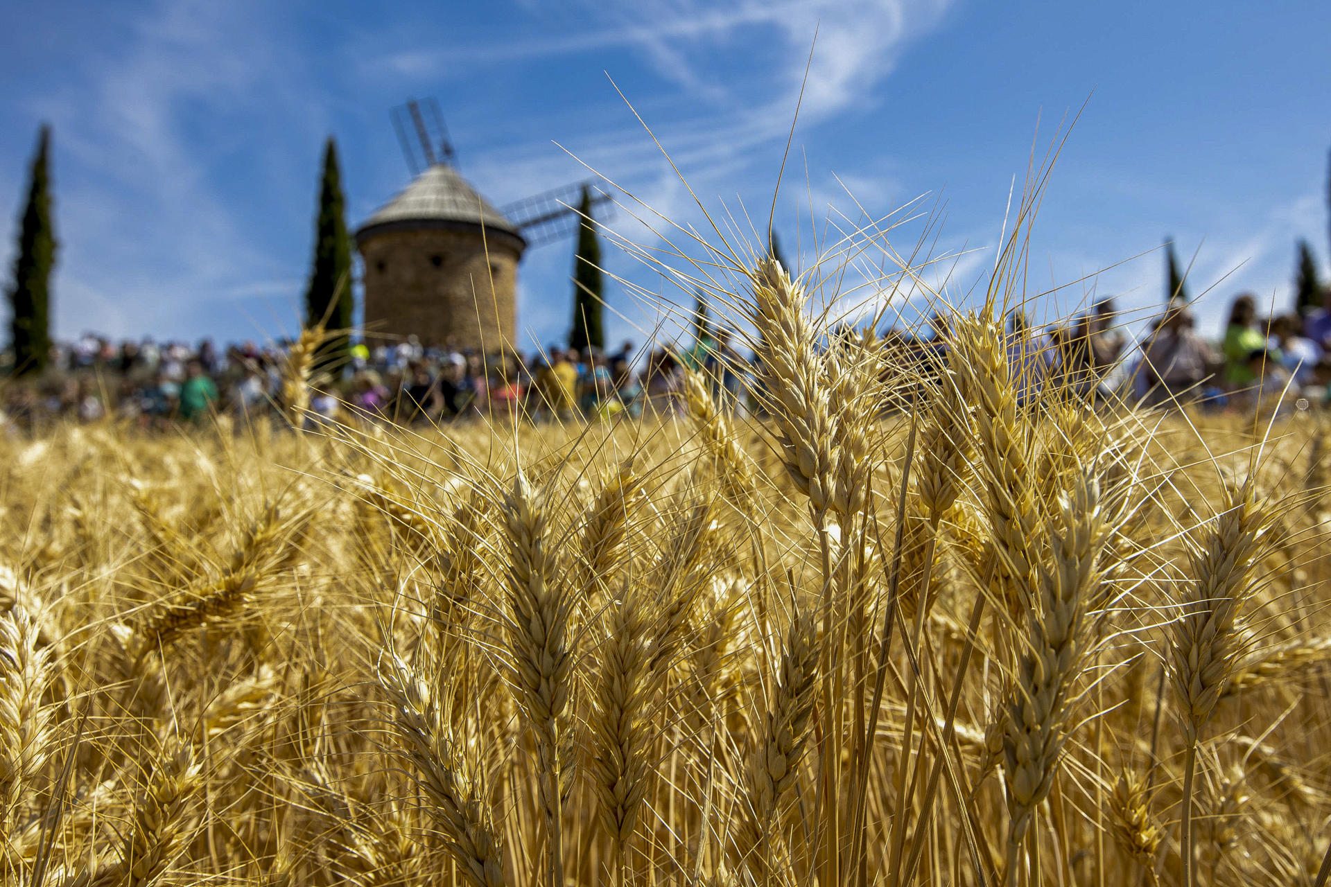 La localidad riojana de Ocón ha celebrado este domingo la Fiesta de la Molienda, que ha cumplido su edición número 18 para recordar y enseñar a los jóvenes cómo se vivía en gran parte de La Rioja hasta hace algunas décadas y cómo era el trabajo que se realizaba en torno al cultivo de cereal.Alrededor de dos mil quinientas personas han podido ver cómo se realizaban los trabajos de siega, acarreo del cereal, la trilla y la separación de la paja y el trigo, todo ello a mano, como se realizaba en todos los municipios cerealistas riojanos hasta la llegada de las cosechadoras..-EFE/Raquel Manzanares