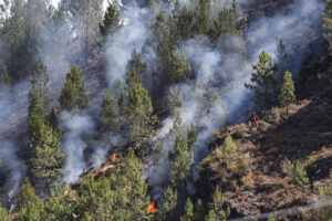 Q Humo procedente del fuego en la parroquia de Bendollo (Quiroga).. EFE/ Eliseo Trigo