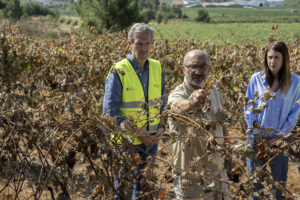 El presidente de la Xunta, Alfonso Rueda, visita los viñedos de Adega Tapias Mariñán en el inicio de una vendimia marcada por los incendios, este viernes. EFE/ Brais Lorenzo