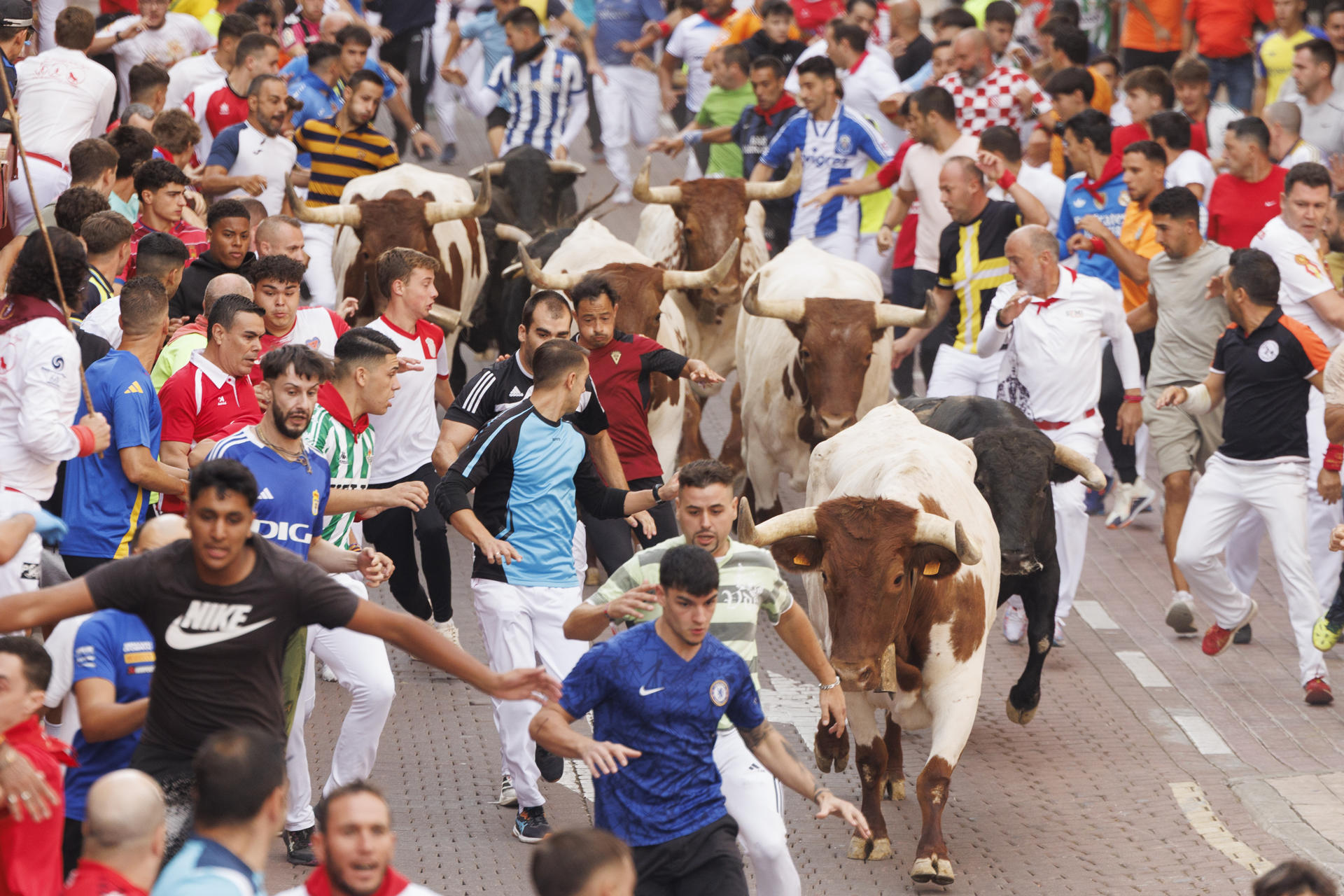 Los mozos corren ante los toros durante el octavo encierro de San Sebastián de los Reyes, este domingo. EFE/Sergio Pérez