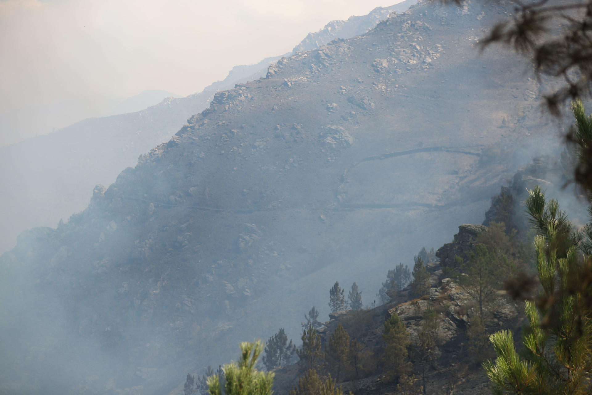 Vista de una zona afectada por el fuego en la parroquia de Bendollo (Quiroga). EFE/ Eliseo Trigo
