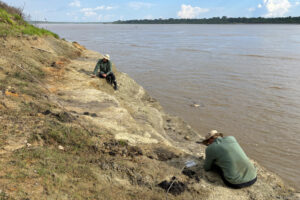 Fotografía del 17 de agosto de 2025 de científicos recolectando fósiles en la ribera del río Amazonas, en Tamshiyacu (Perú). EFE/ Rodolfo Salas Gismondi