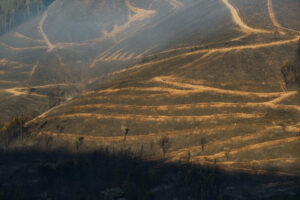 Terreno calcinado por el incendio en Pobra de Brollón-Quiroga (Lugo). EFE/ Eliseo Trigo