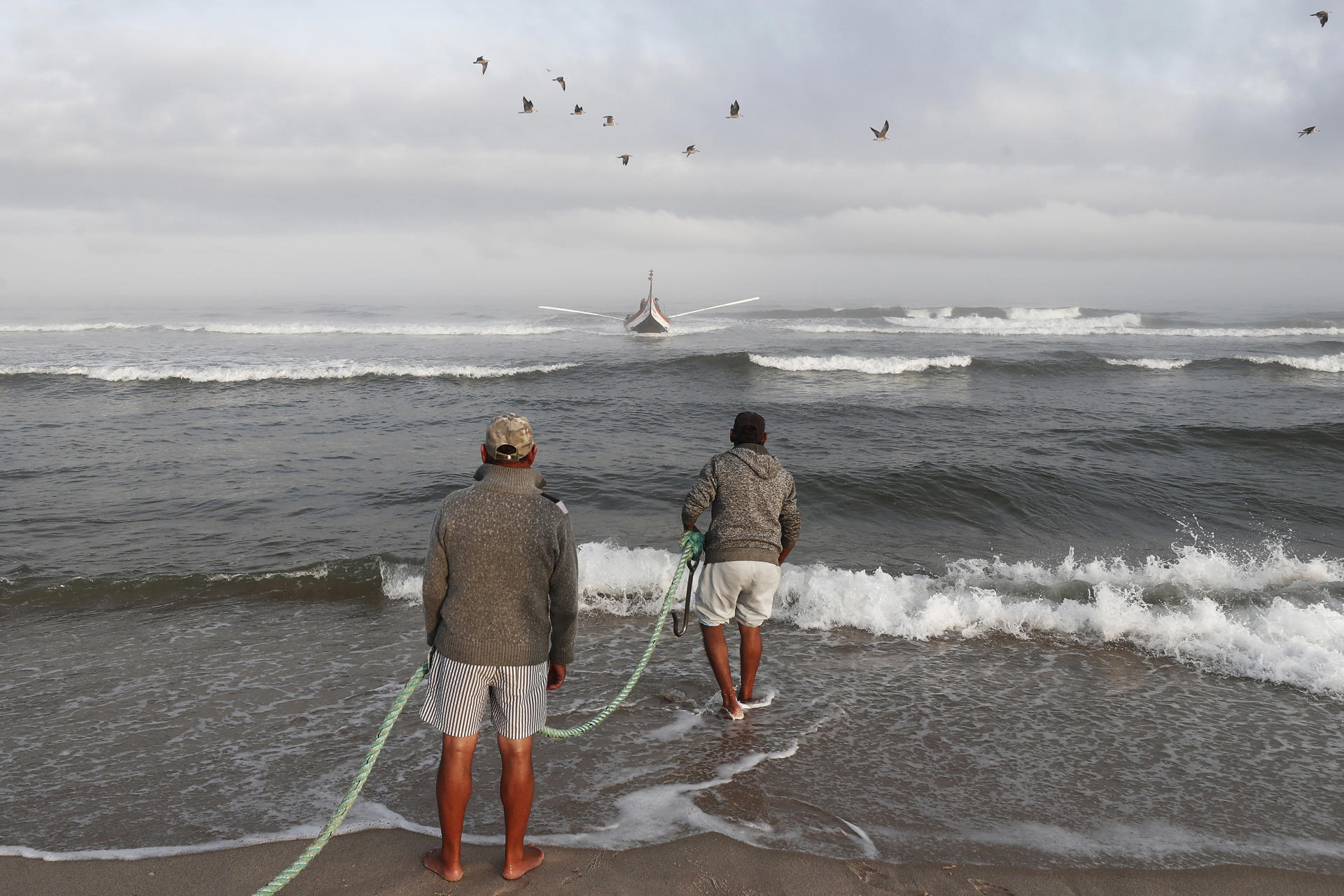 La xávega, una práctica ancestral de pesca propia de varias regiones del norte y el centro de Portugal, en la Praia de Torreira. EFE/ Jesús Diges
