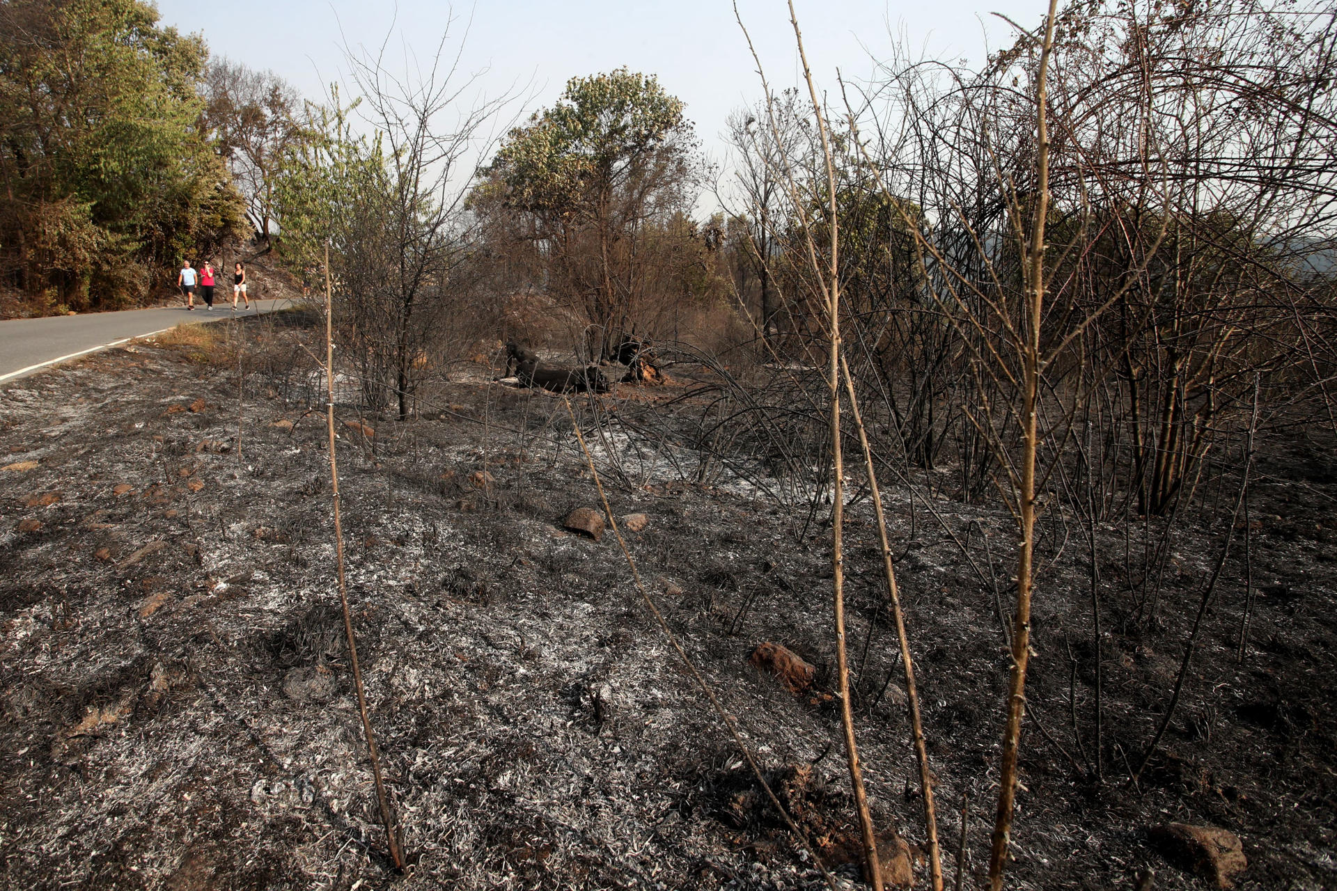 El fuego declarado en la localidad leonesa de Yeres y que ha afectado al espacio natural de Las Médulas, catalogado por la Unesco como Patrimonio de la Humanidad y corazón turístico de la comarca leonesa de El Bierzo, ha dejado una sensación entre los vecinos de vivir un infierno del que tardarán años en salir. EFE/Ana F. Barredo
