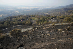 Áreas calcinadas en la localidad cacereña de Cabezabellosa por el incendio de Jarilla (Cáceres), en una imagen de este miércoles. EFE/EDUARDO PALOMO