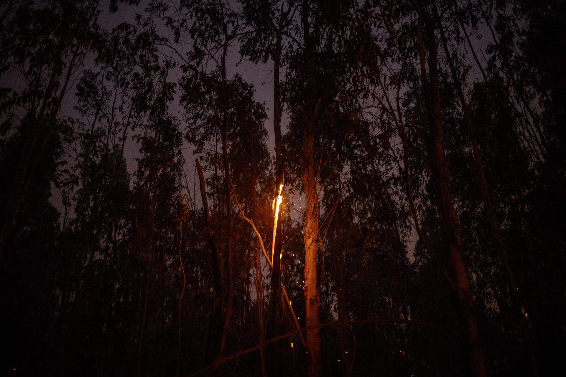 Vista del incendio forestal que permanece activo desde este miércoles en As Neves (Pontevedra). EFE/ Brais Lorenzo
