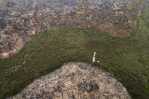 Fotografía aérea de archivo de una zona afectada por la deforestación en la Amazonía. EFE/ Isaac Fontana