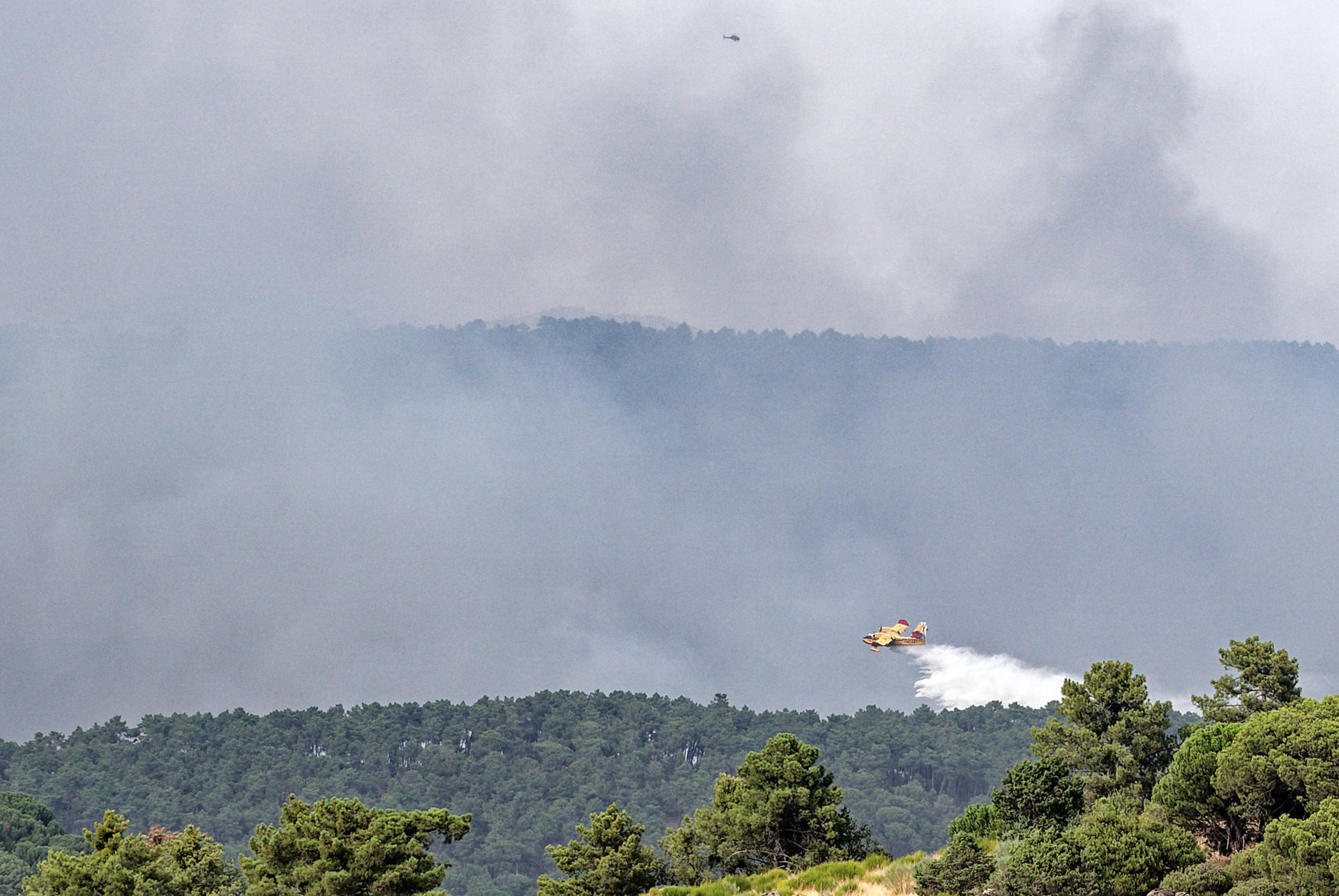 Incendio en las proximidades de Las Navas del Marqués (Ávila), este viernes. EFE/ Raúl Sanchidrián
